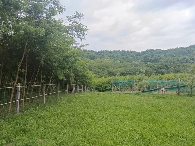 Eladó mezőgazdasági ingatlan Sásd, Hörnyék 50 nm
