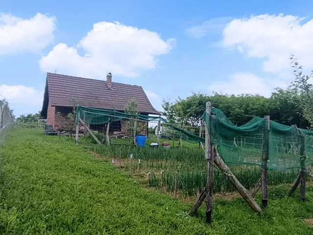 Eladó mezőgazdasági ingatlan Sásd, Hörnyék 50 nm