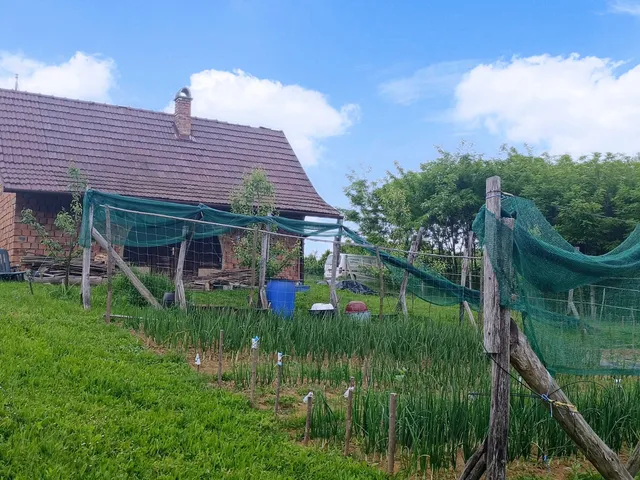 Eladó mezőgazdasági ingatlan Sásd, Hörnyék 50 nm