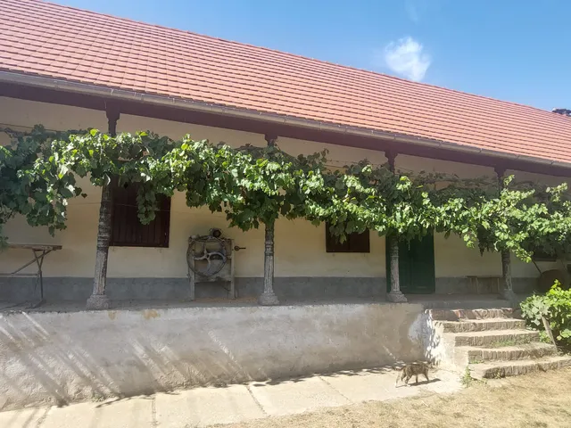 Eladó ház Ág, alkotmány  82 nm