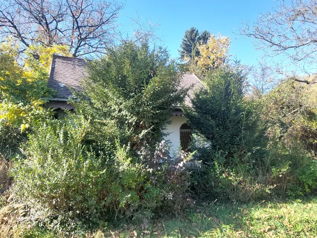 Eladó ház Varga, Külterület  40 nm