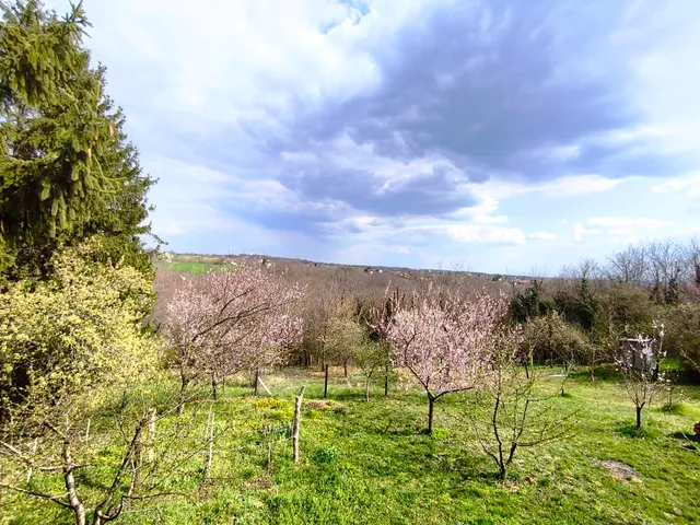 Eladó üdülő és hétvégi ház Igal 48 nm