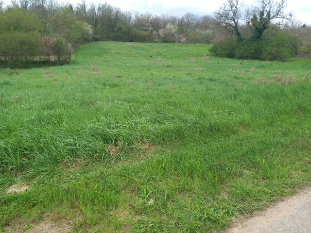 Eladó telek Dombóvár, Dáró utca  4118 nm