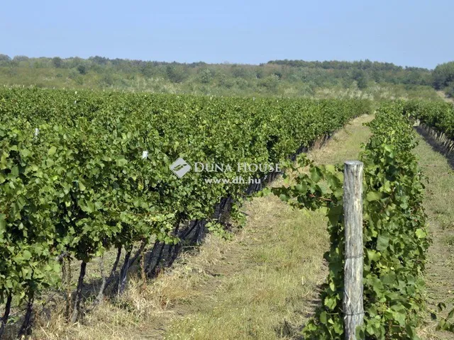 Eladó mezőgazdasági ingatlan Tibolddaróc 2010 nm