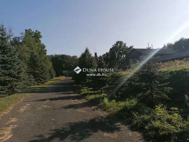 Eladó telek Mogyoród 15600 nm