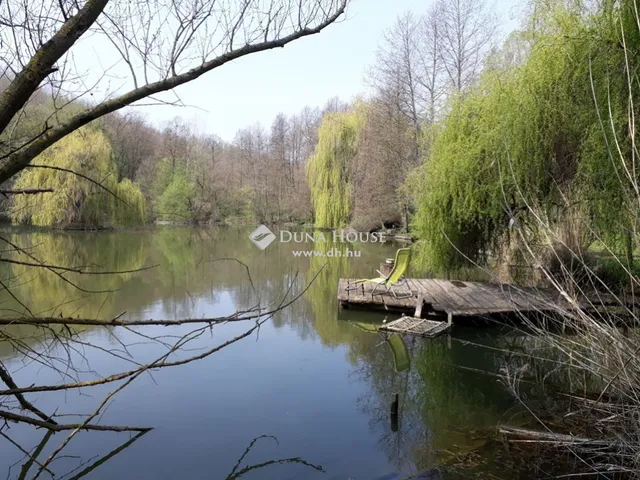 Eladó ház Bárdudvarnok 260 nm