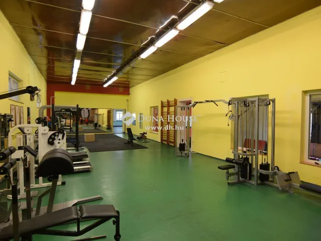 Eladó kereskedelmi és ipari ingatlan Nagykőrös 1480 nm