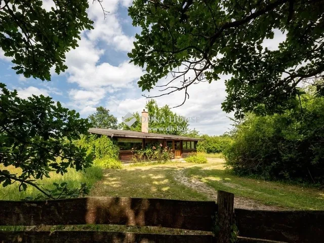 Eladó ház Harsány 160 nm