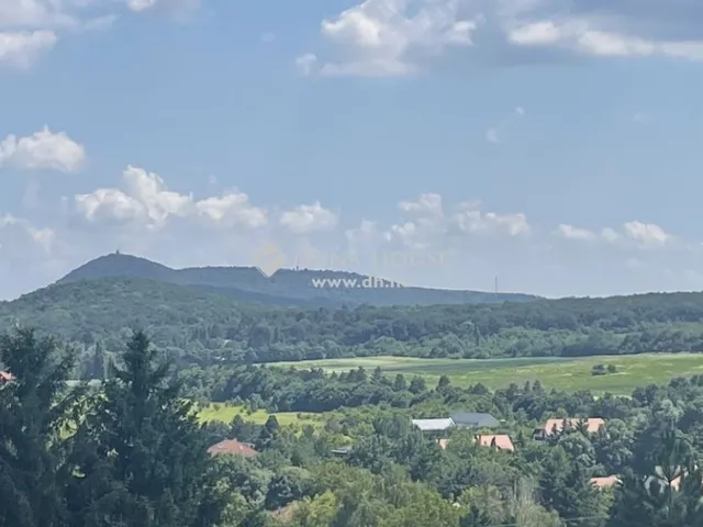 Eladó ház Remeteszőlős 300 nm