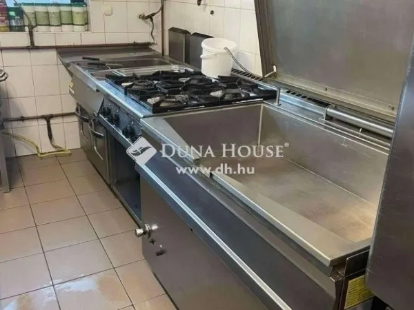 Eladó kereskedelmi és ipari ingatlan Vecsés 357 nm