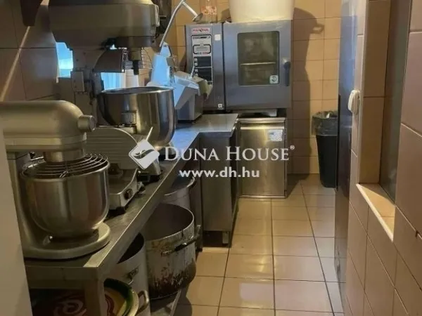 Eladó kereskedelmi és ipari ingatlan Vecsés 357 nm