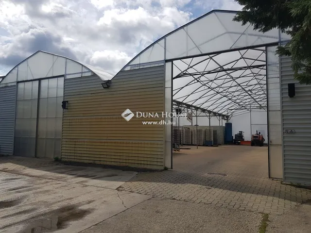 Eladó mezőgazdasági ingatlan Kecskemét, Szarkás 135 nm