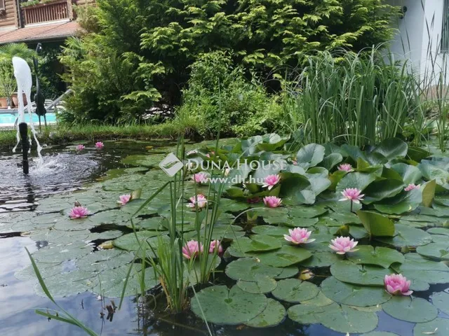 Eladó ház Ceglédbercel 2850 nm