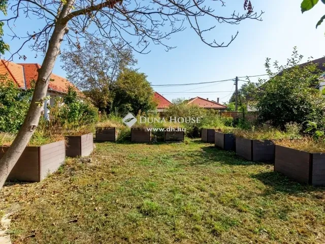 Eladó ház Ráckeve 400 nm