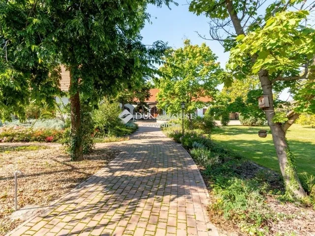 Eladó ház Ráckeve 400 nm