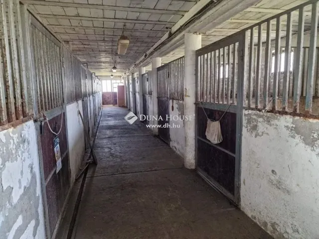 Eladó ház Cegléd 600 nm