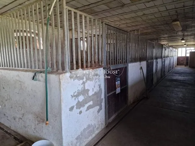 Eladó ház Cegléd 600 nm