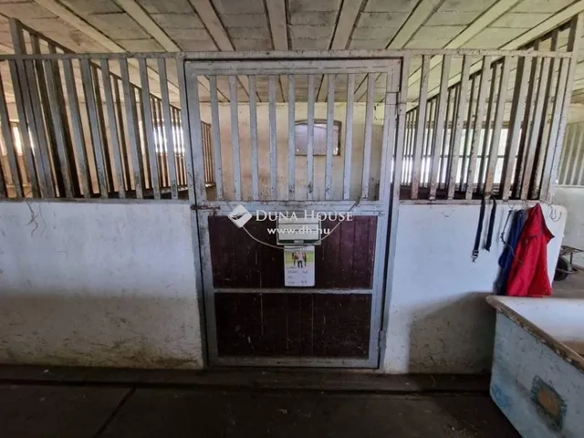 Eladó ház Cegléd 600 nm