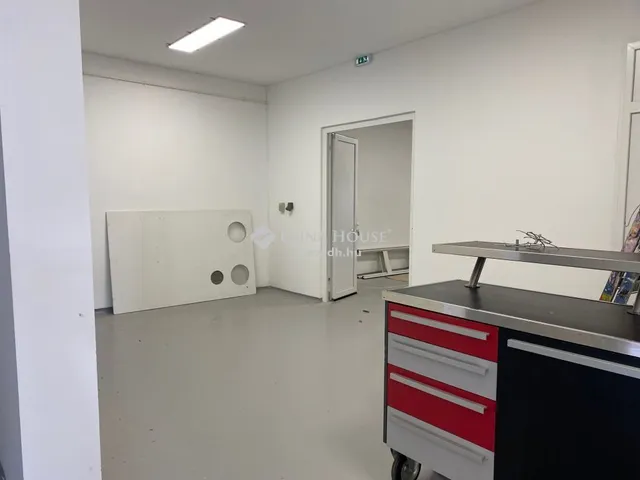 Eladó ház Sződliget 411 nm