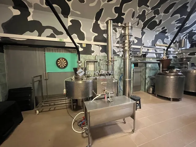 Eladó kereskedelmi és ipari ingatlan Szentlőrinckáta 204 nm