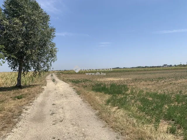 Eladó kereskedelmi és ipari ingatlan Szigetszentmiklós 14022 nm
