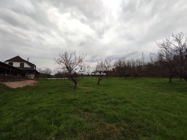 Eladó telek Kemence 240000 nm