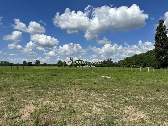 Eladó mezőgazdasági ingatlan Monor 119 nm
