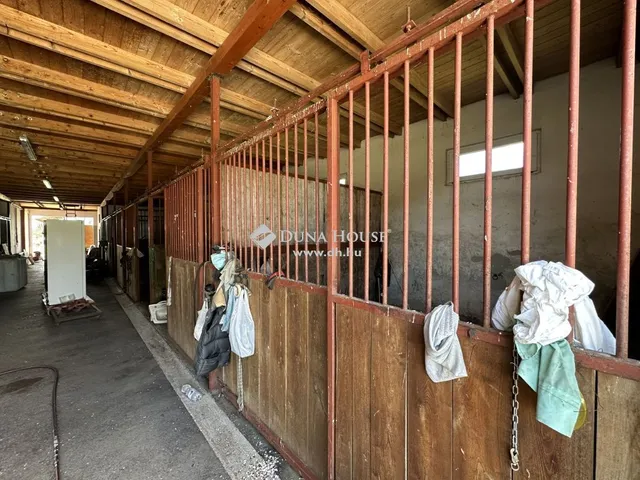 Eladó mezőgazdasági ingatlan Monor 119 nm