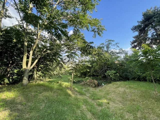 Eladó ház Érd 397 nm