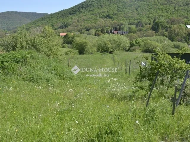 Eladó ház Pilisszentlászló 274 nm