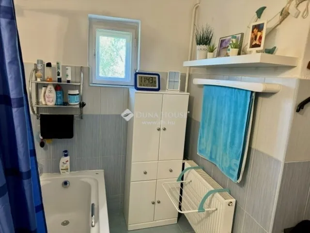 Eladó ház Isaszeg 270 nm