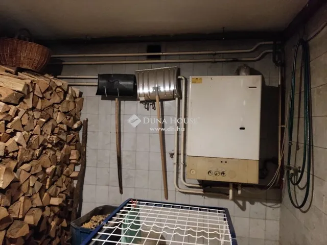 Eladó ház Dunabogdány 261 nm