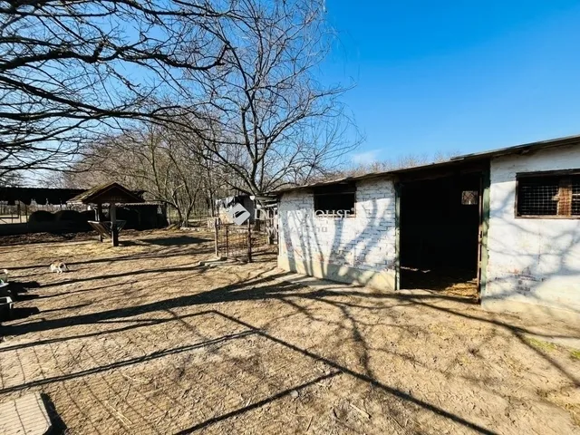 Eladó mezőgazdasági ingatlan Pilis 170 nm