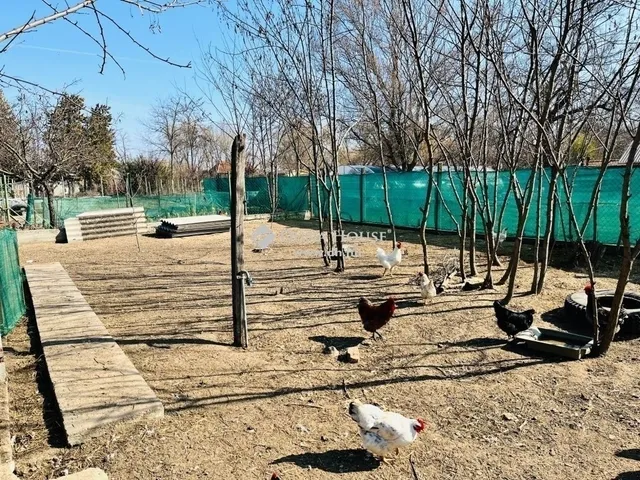 Eladó mezőgazdasági ingatlan Pilis 170 nm