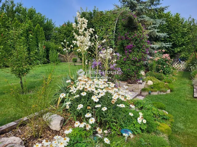 Eladó ház Herceghalom 225 nm