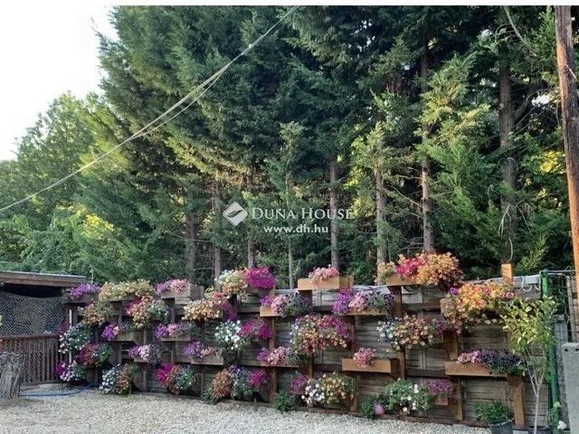 Eladó ház Majosháza 257 nm