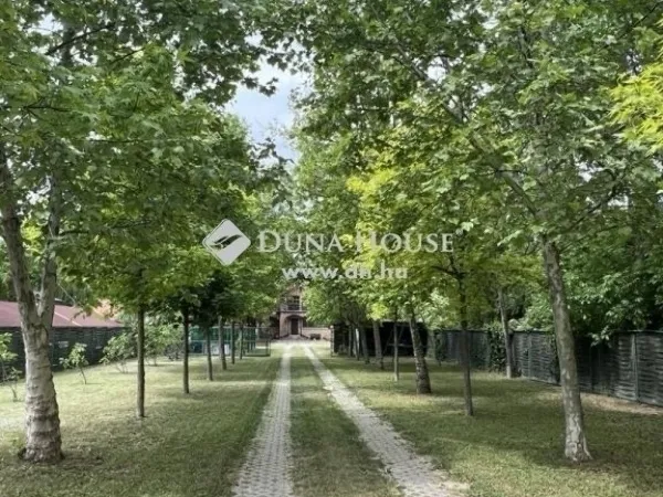 Eladó ház Majosháza 257 nm