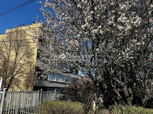 Eladó lakás Budapest II. kerület, Zöldmál 60 nm