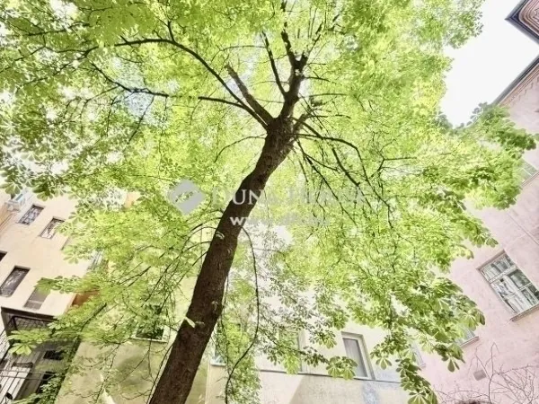 Eladó lakás Budapest VI. kerület, Nagykörúton kívüli terület 114 nm