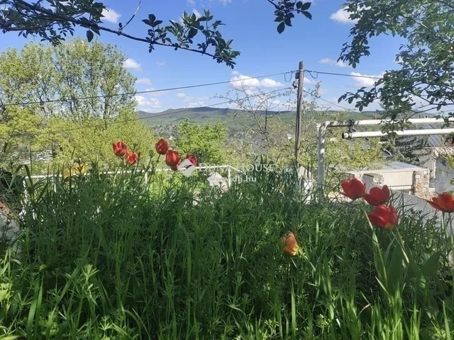 Eladó lakás Budapest II. kerület, Adyliget 116 nm