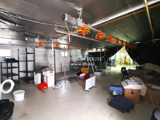 Eladó kereskedelmi és ipari ingatlan Nyáregyháza 2000 nm
