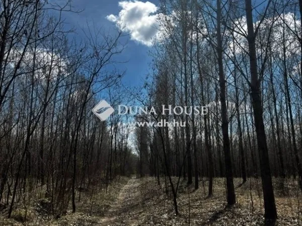 Eladó mezőgazdasági ingatlan Dabas 454600 nm
