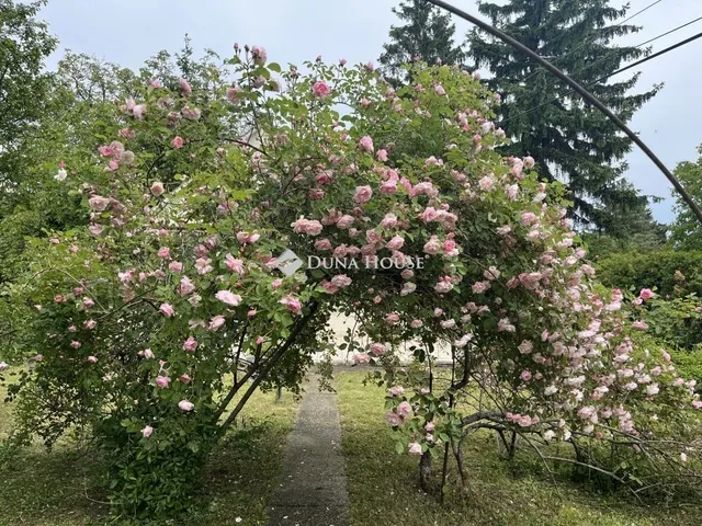 Eladó telek Budapest III. kerület 1134 nm