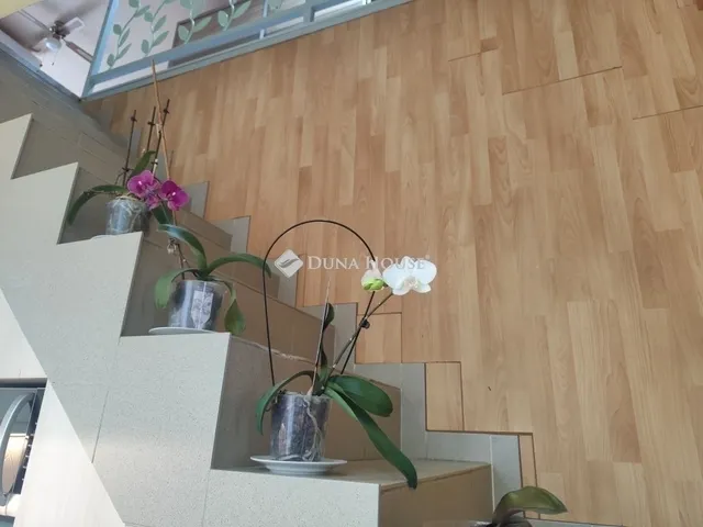 Eladó ház Dunaharaszti 241 nm