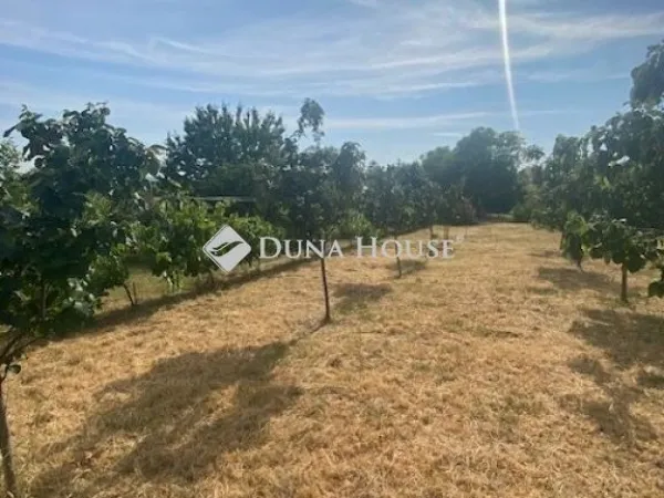 Eladó ház Budapest XXII. kerület 40 nm