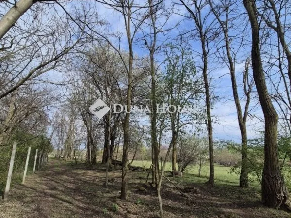 Eladó telek Budapest XVII. kerület 31668 nm