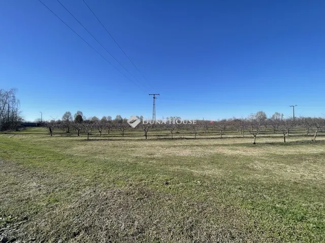 Eladó mezőgazdasági ingatlan Dabas 100 nm