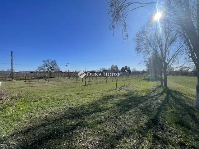 Eladó mezőgazdasági ingatlan Dabas 100 nm