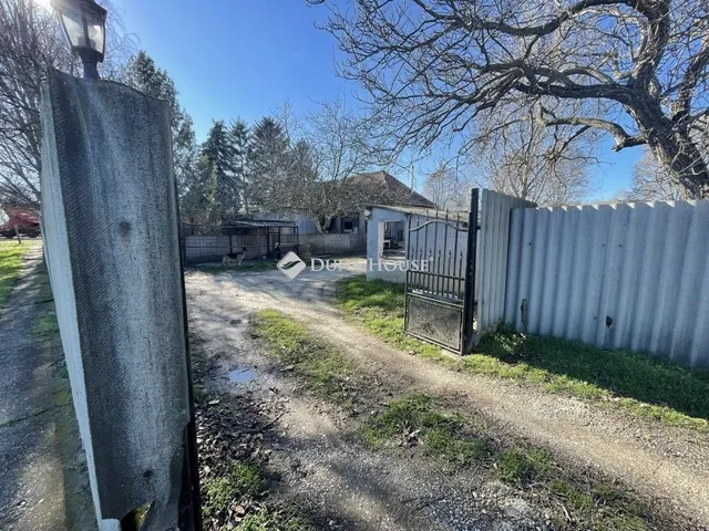 Eladó mezőgazdasági ingatlan Dabas 100 nm