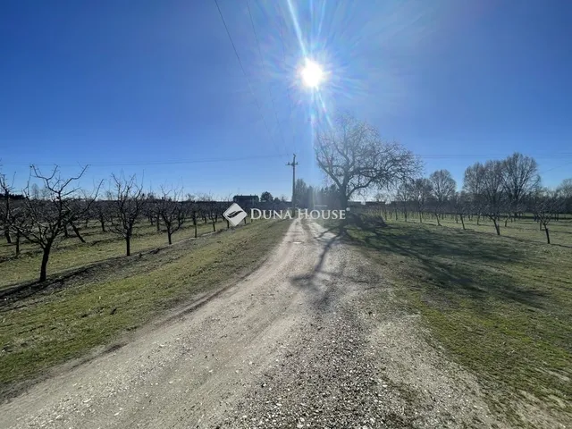 Eladó mezőgazdasági ingatlan Dabas 100 nm
